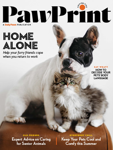 Paw Print magazine cover